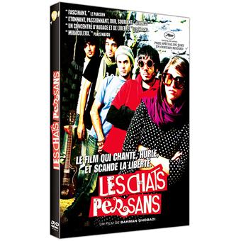 Les Chats persans  DVD